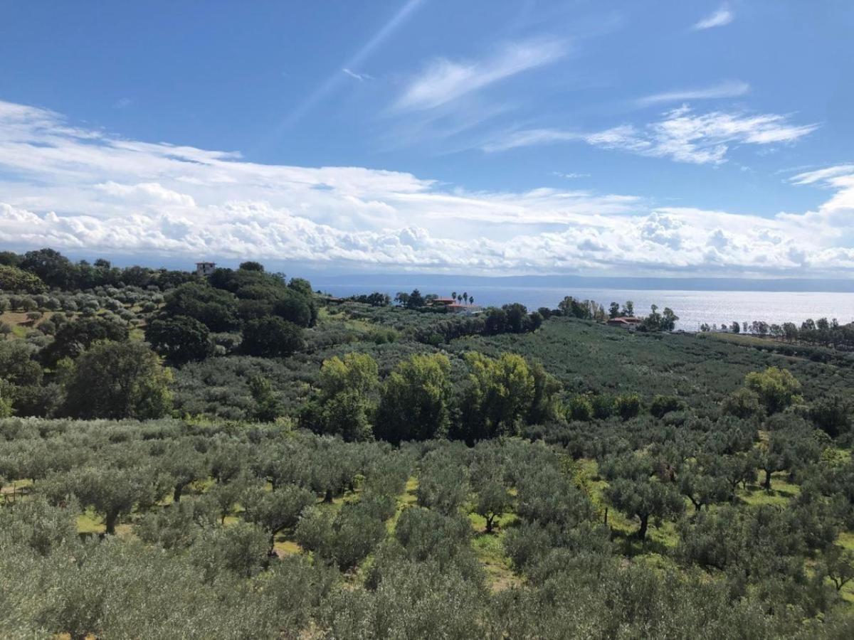 לינה וארוחת בוקר ג'יצריה Casale Calabria מראה חיצוני תמונה
