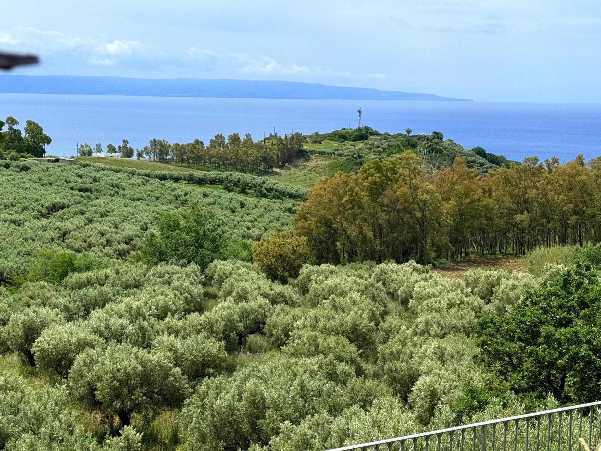 לינה וארוחת בוקר ג'יצריה Casale Calabria מראה חיצוני תמונה